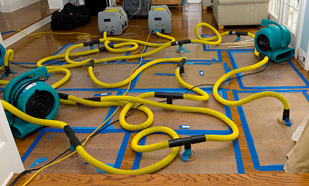 Professional Crawl Space Water Removal technician working in Amesbury, MA